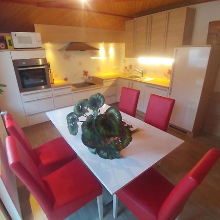 Poldas Apartments Poljane nad Škofjo Loko 外观 照片