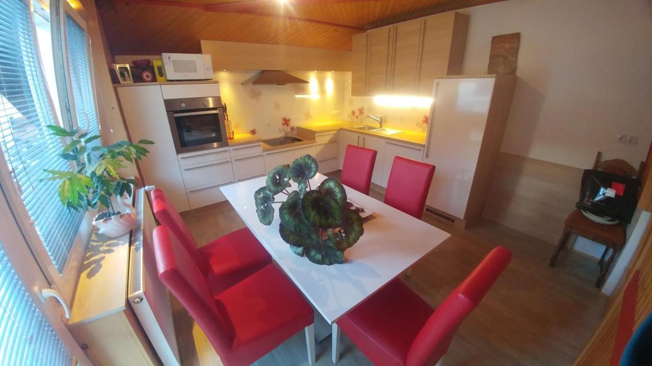 Poldas Apartments Poljane nad Škofjo Loko 外观 照片