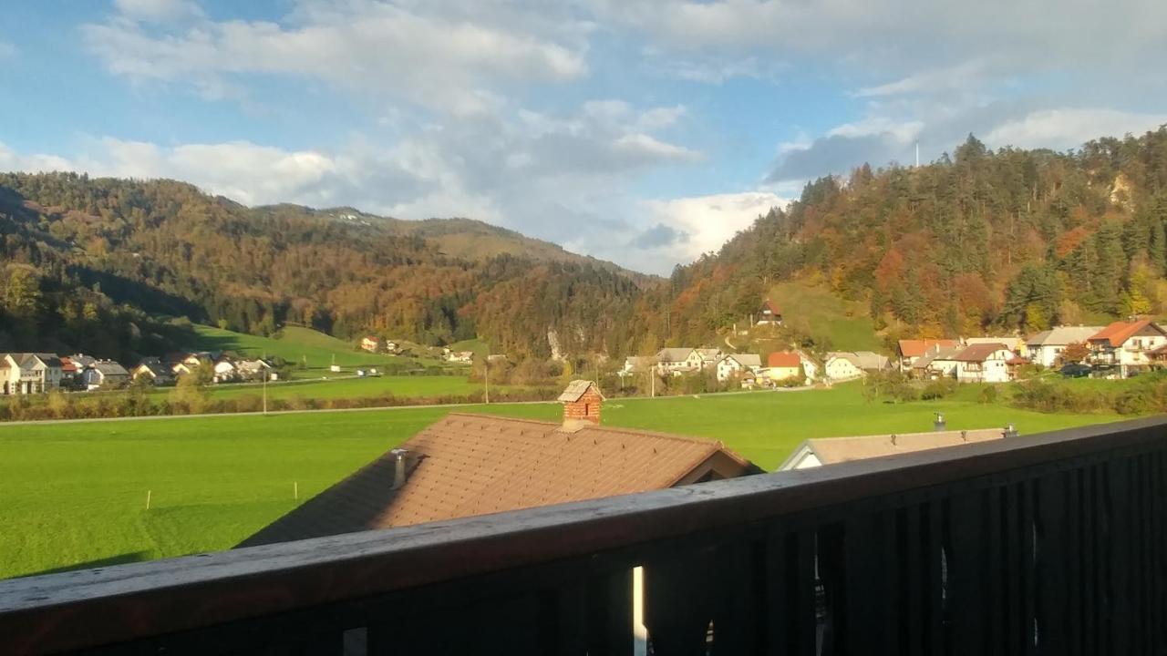 Poldas Apartments Poljane nad Škofjo Loko 外观 照片