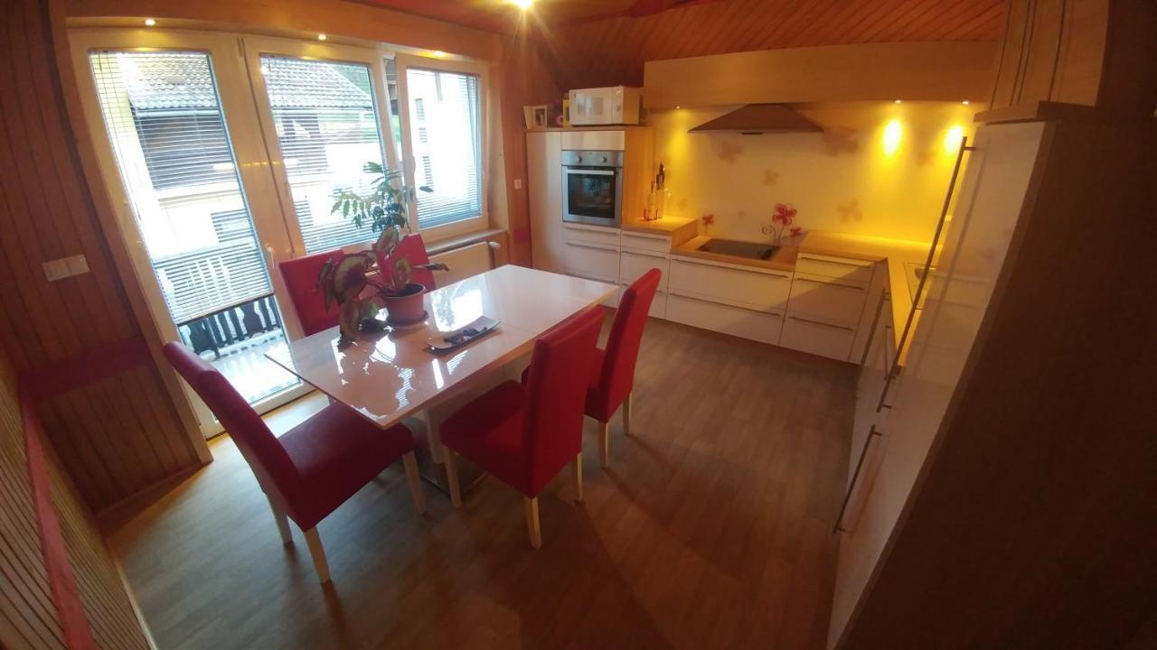 Poldas Apartments Poljane nad Škofjo Loko 外观 照片